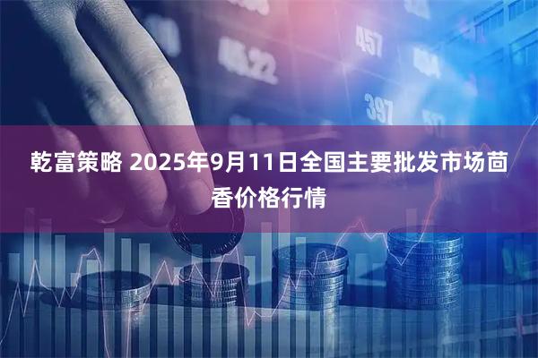 乾富策略 2025年9月11日全国主要批发市场茴香价格行情
