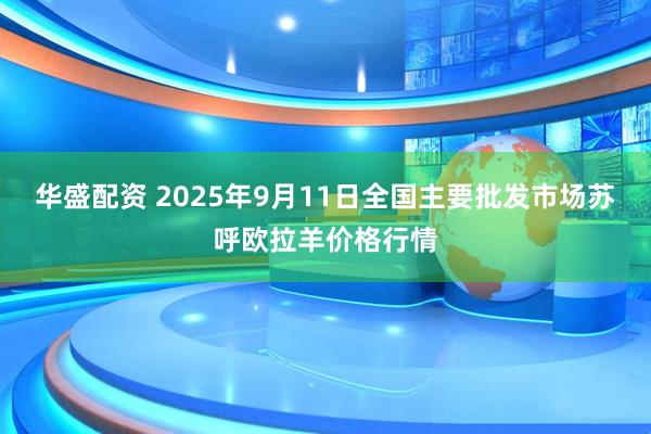 华盛配资 2025年9月11日全国主要批发市场苏呼欧拉羊价格行情