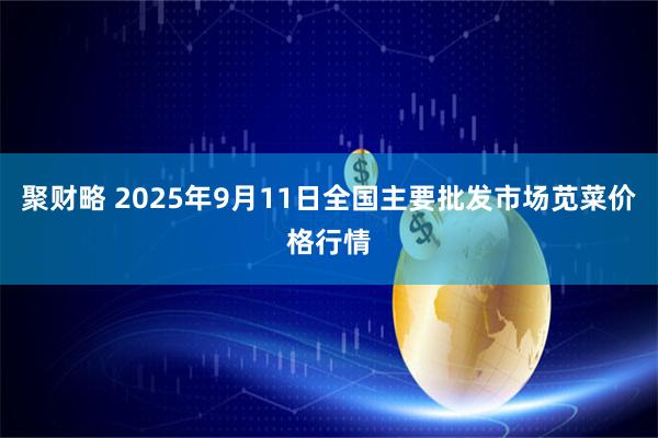 聚财略 2025年9月11日全国主要批发市场苋菜价格行情