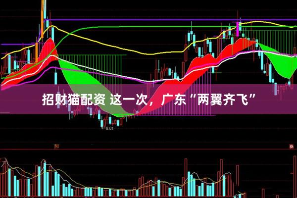 招财猫配资 这一次，广东“两翼齐飞”
