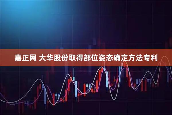 嘉正网 大华股份取得部位姿态确定方法专利