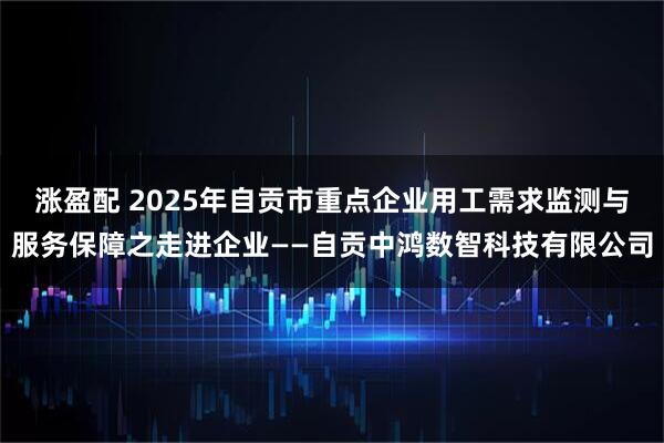 涨盈配 2025年自贡市重点企业用工需求监测与服务保障之走进企业——自贡中鸿数智科技有限公司